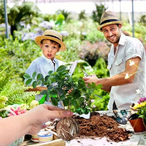 Vaso para Geminação de Plantas - PlantaBox