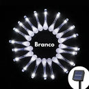 Luzes de Jardim LED com Painel Solar - BrilhoGarden