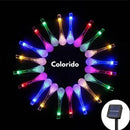 Luzes de Jardim LED com Painel Solar - BrilhoGarden