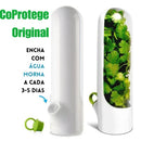 Cápsula Fresca para Alimentos - CoProtege