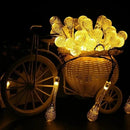 Luzes de Jardim LED com Painel Solar - BrilhoGarden